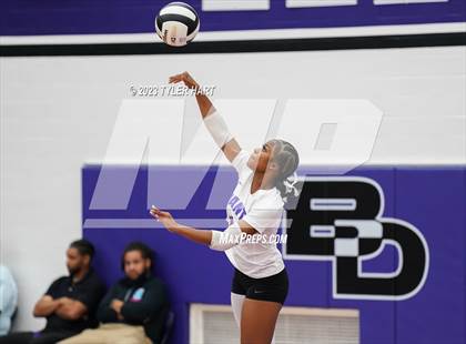 Thumbnail 1 in Pike @ Ben Davis photogallery.