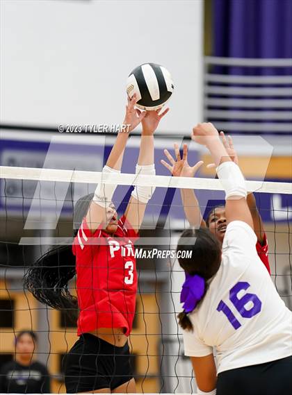 Thumbnail 2 in Pike @ Ben Davis photogallery.
