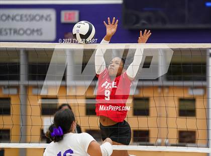 Thumbnail 3 in Pike @ Ben Davis photogallery.