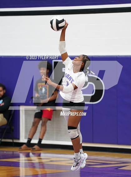 Thumbnail 3 in Pike @ Ben Davis photogallery.