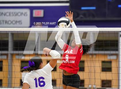Thumbnail 1 in Pike @ Ben Davis photogallery.