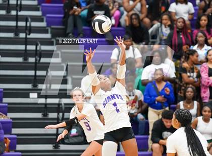 Thumbnail 1 in Pike @ Ben Davis photogallery.