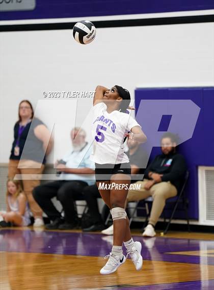 Thumbnail 2 in Pike @ Ben Davis photogallery.