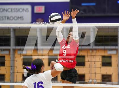 Thumbnail 2 in Pike @ Ben Davis photogallery.