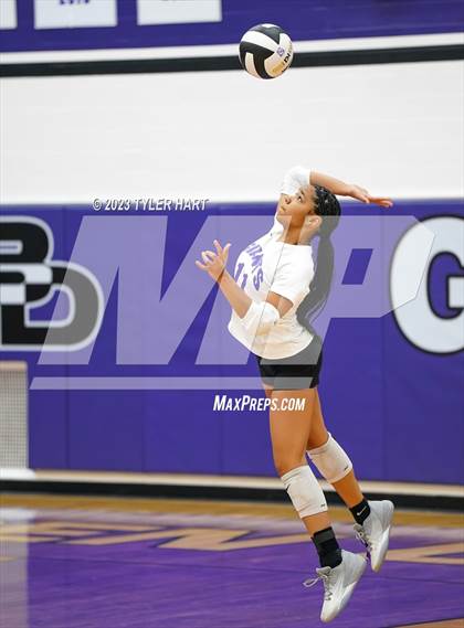 Thumbnail 3 in Pike @ Ben Davis photogallery.