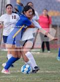 Photo from the gallery "Bourgade Catholic @ Kingman"