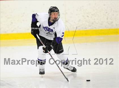 Thumbnail 1 in Salisbury vs. Cushing (NEPSAC Open Quarterfinal) photogallery.