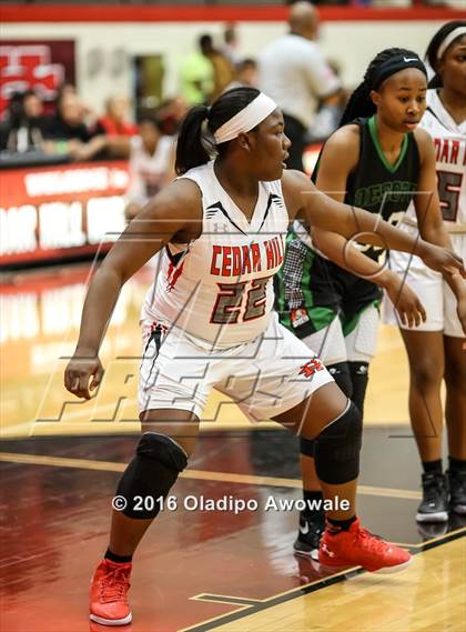 Thumbnail 3 in DeSoto @ Cedar Hill photogallery.