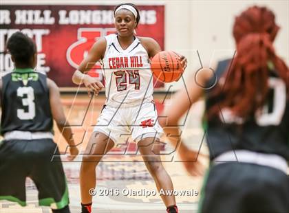 Thumbnail 2 in DeSoto @ Cedar Hill photogallery.
