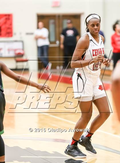 Thumbnail 2 in DeSoto @ Cedar Hill photogallery.