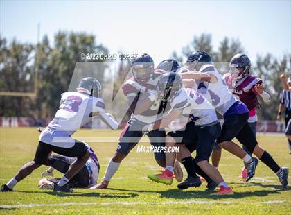 Thumbnail 1 in River Ridge @ Wiregrass Ranch photogallery.