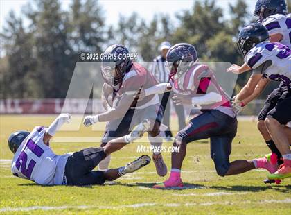 Thumbnail 3 in River Ridge @ Wiregrass Ranch photogallery.