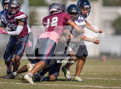 Thumbnail 1 in River Ridge @ Wiregrass Ranch photogallery.
