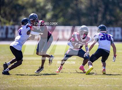 Thumbnail 3 in River Ridge @ Wiregrass Ranch photogallery.