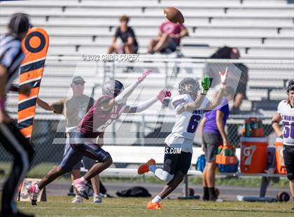 Thumbnail 2 in River Ridge @ Wiregrass Ranch photogallery.
