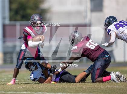 Thumbnail 3 in River Ridge @ Wiregrass Ranch photogallery.