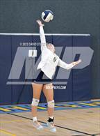 Photo from the gallery "Sutter @ Center"