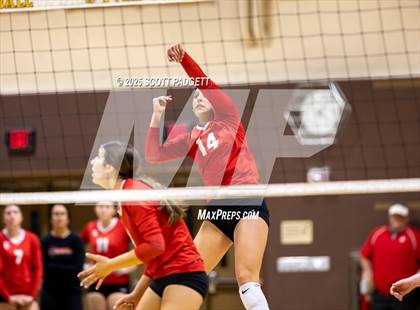 Thumbnail 3 in Centennial @ Temecula Valley (CIF State D1 Playoffs) photogallery.