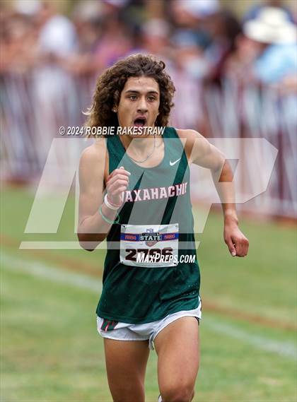 Thumbnail 2 in UIL Cross Country 6A Finals (5K) photogallery.