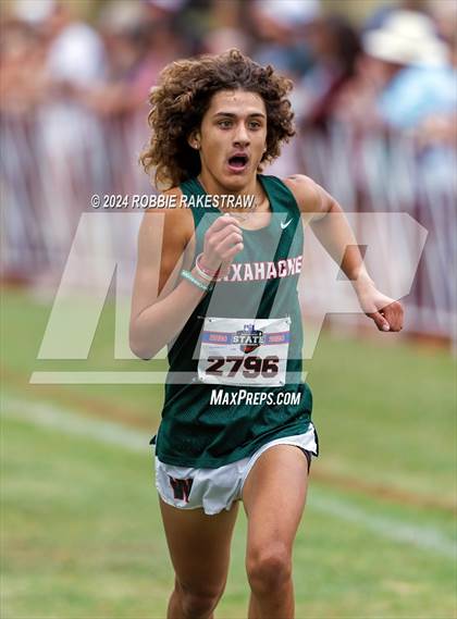 Thumbnail 3 in UIL Cross Country 6A Finals (5K) photogallery.
