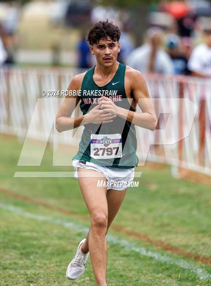 Thumbnail 2 in UIL Cross Country 6A Finals (5K) photogallery.