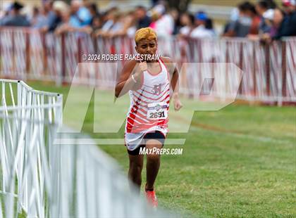 Thumbnail 2 in UIL Cross Country 6A Finals (5K) photogallery.