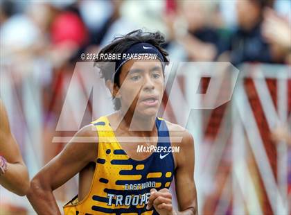 Thumbnail 1 in UIL Cross Country 6A Finals (5K) photogallery.