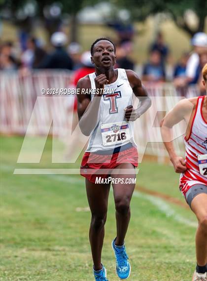 Thumbnail 1 in UIL Cross Country 6A Finals (5K) photogallery.