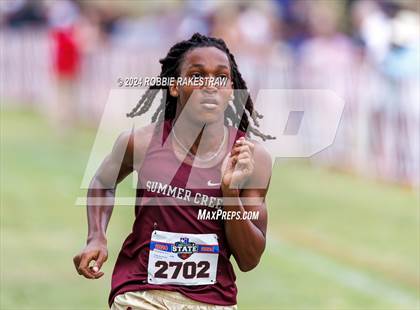 Thumbnail 1 in UIL Cross Country 6A Finals (5K) photogallery.