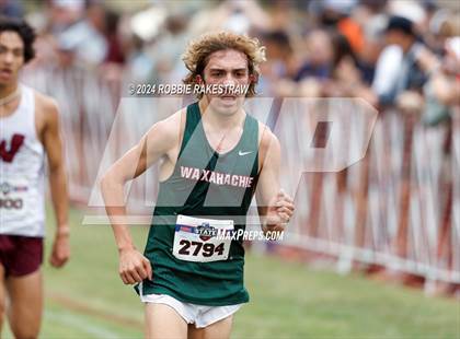 Thumbnail 3 in UIL Cross Country 6A Finals (5K) photogallery.