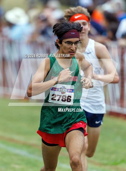 Thumbnail 3 in UIL Cross Country 6A Finals (5K) photogallery.