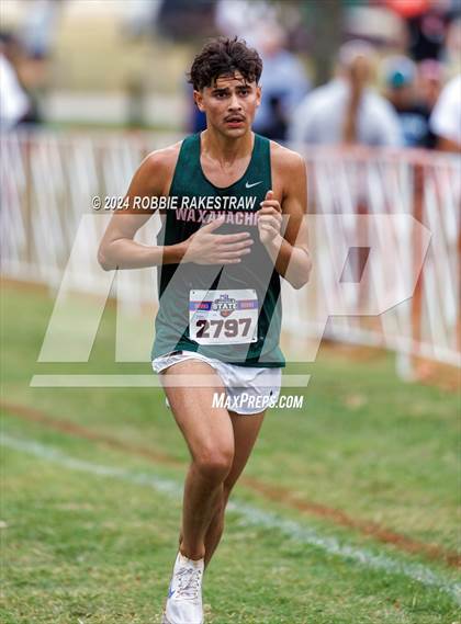 Thumbnail 1 in UIL Cross Country 6A Finals (5K) photogallery.