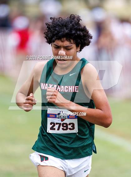 Thumbnail 3 in UIL Cross Country 6A Finals (5K) photogallery.