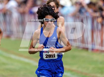 Thumbnail 1 in UIL Cross Country 6A Finals (5K) photogallery.
