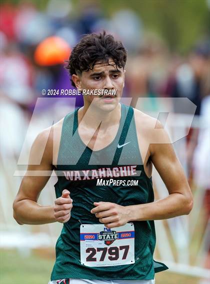 Thumbnail 1 in UIL Cross Country 6A Finals (5K) photogallery.