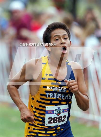 Thumbnail 2 in UIL Cross Country 6A Finals (5K) photogallery.
