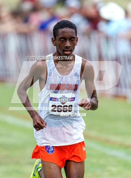 Thumbnail 1 in UIL Cross Country 6A Finals (5K) photogallery.