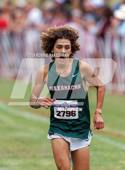 Thumbnail 1 in UIL Cross Country 6A Finals (5K) photogallery.