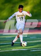 Photo from the gallery "Capuchino @ Half Moon Bay"