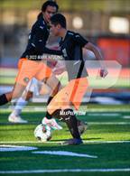 Photo from the gallery "Capuchino @ Half Moon Bay"