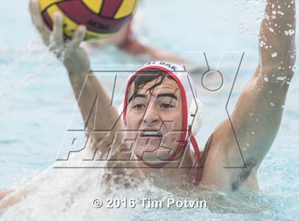 Thumbnail 3 in Great Oak vs Paloma Valley photogallery.