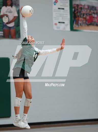 null - Photo 11