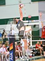 Photo from the gallery "Brophy College Prep vs. O'Connor (AIA 6A FINAL)"