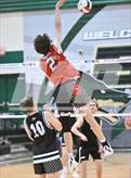 Photo from the gallery "Brophy College Prep vs. O'Connor (AIA 6A FINAL)"