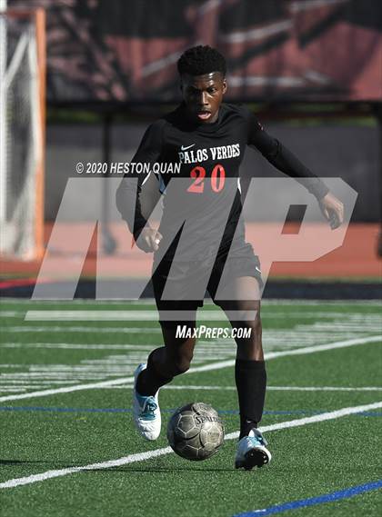 Thumbnail 1 in St. Francis @ Palos Verdes (CIF-SS D1 Playoff) photogallery.