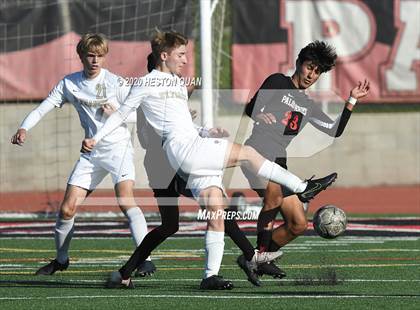 Thumbnail 1 in St. Francis @ Palos Verdes (CIF-SS D1 Playoff) photogallery.