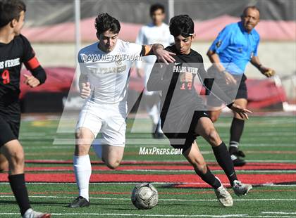 Thumbnail 3 in St. Francis @ Palos Verdes (CIF-SS D1 Playoff) photogallery.