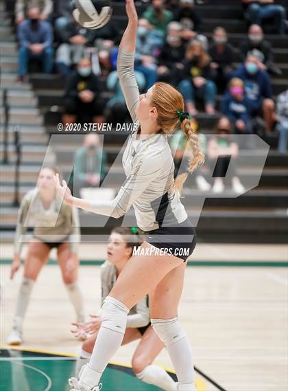 Thumbnail 2 in Chaparral @ Basha photogallery.