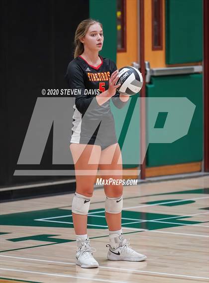 Thumbnail 1 in Chaparral @ Basha photogallery.