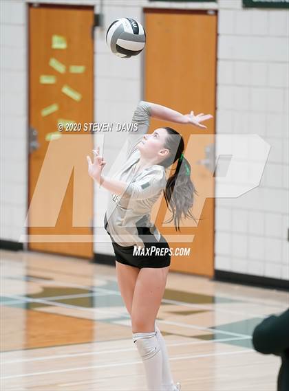 Thumbnail 2 in Chaparral @ Basha photogallery.